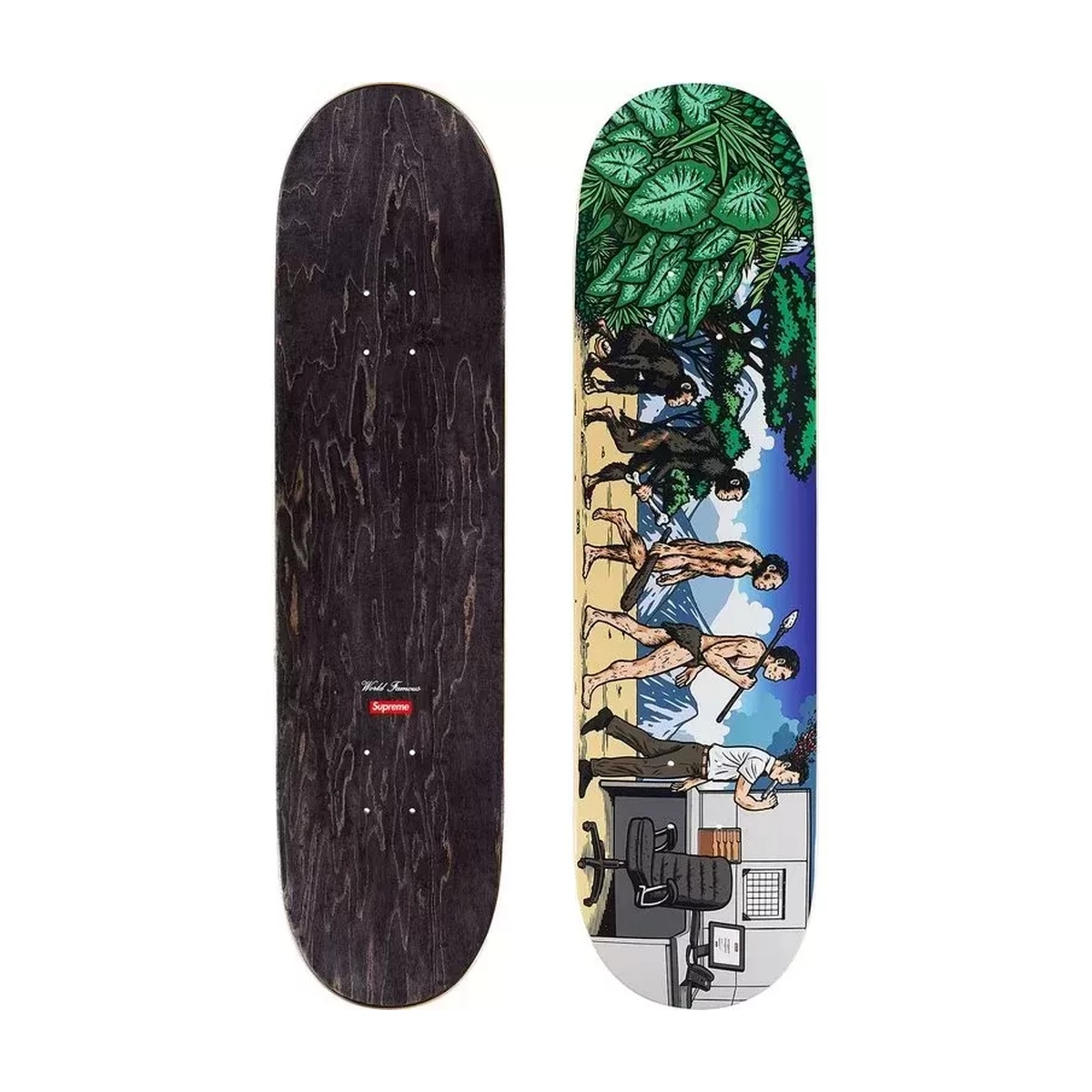 Supreme Evolution Skateboard 新品未使用 Supreme Evolution Skateboard Deck Multicolor